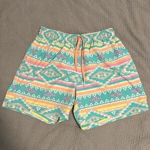 chubbies multi colored swim trunks